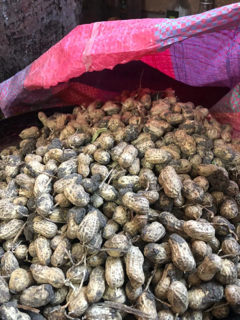 ground-nuts
