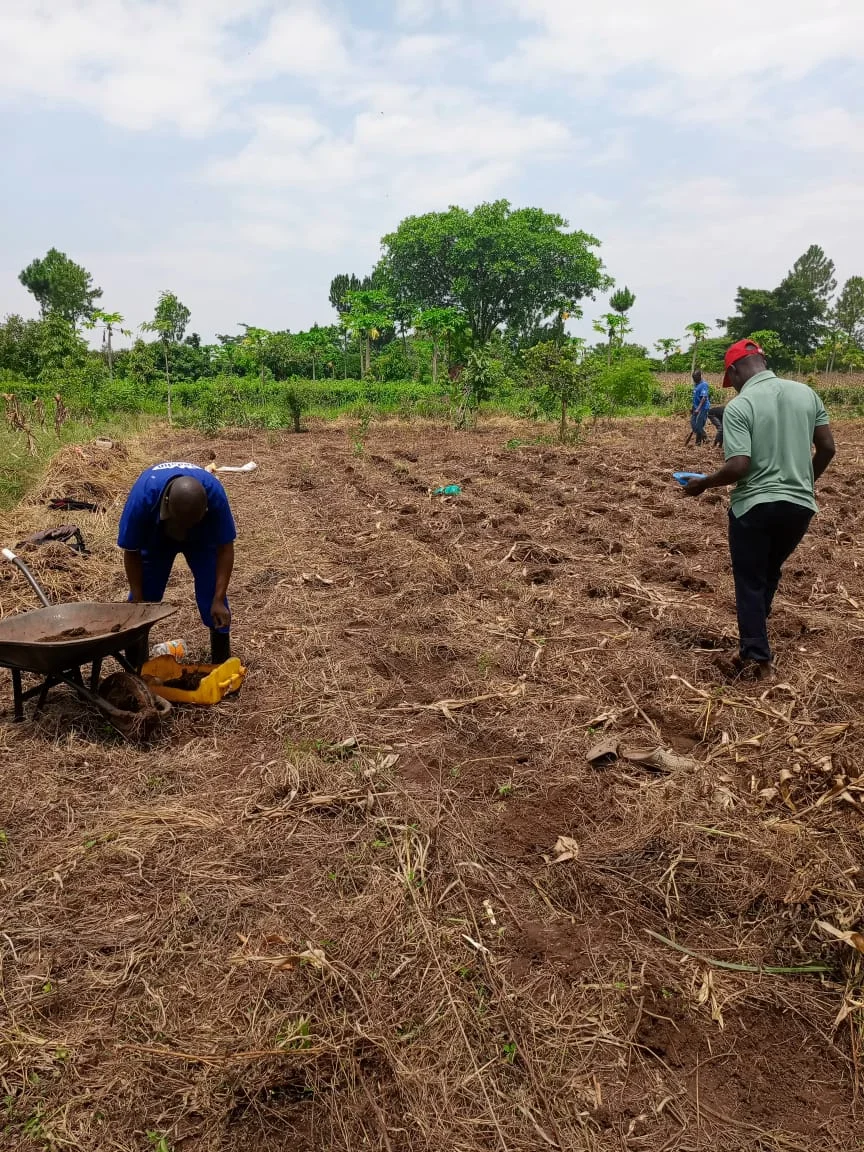 land-prep